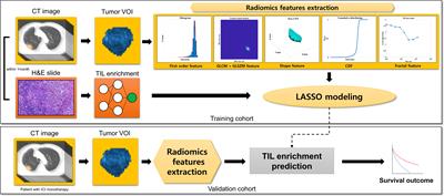 Tumor-infiltrating lymphocyte enrichment predicted by CT radiomics analysis is associated with clinical outcomes of non-small cell lung cancer patients receiving immune checkpoint inhibitors